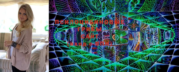 экстази Ельня