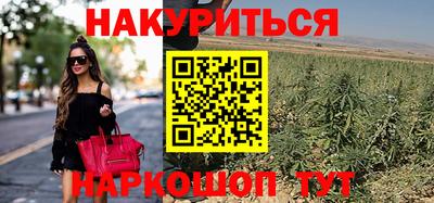 крисы Кандалакша