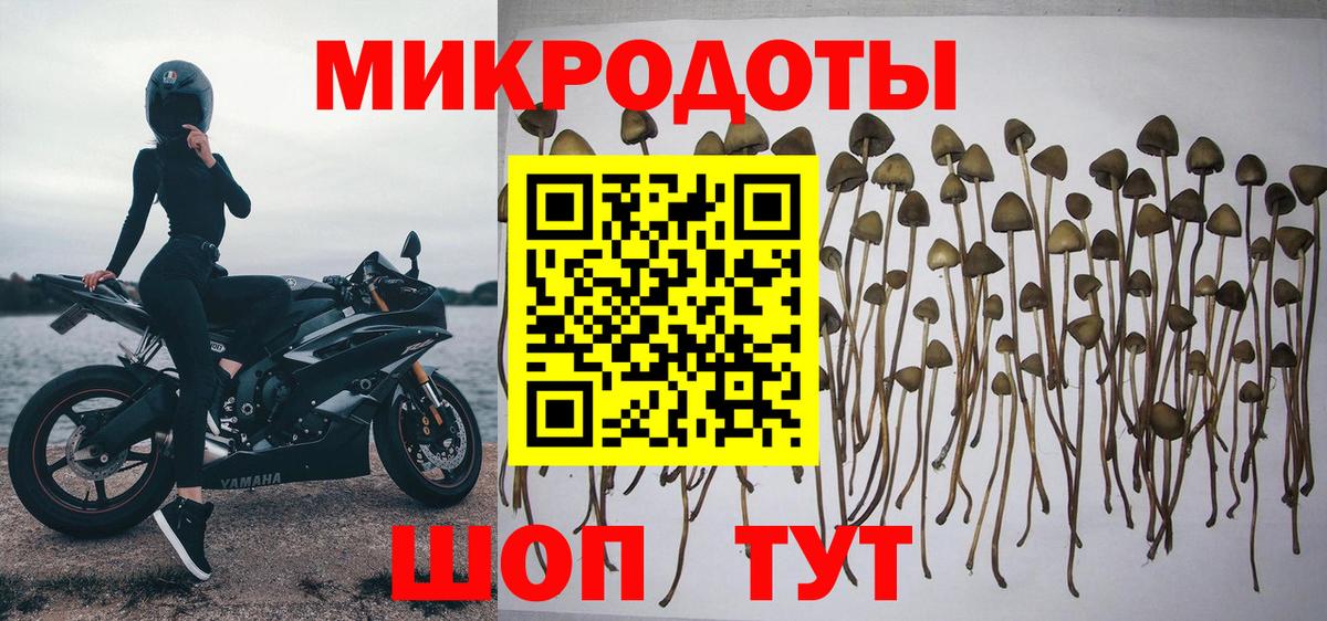 Псилоцибиновые грибы GOLDEN TEACHER  Вход с VPN  цены   Сегежа 