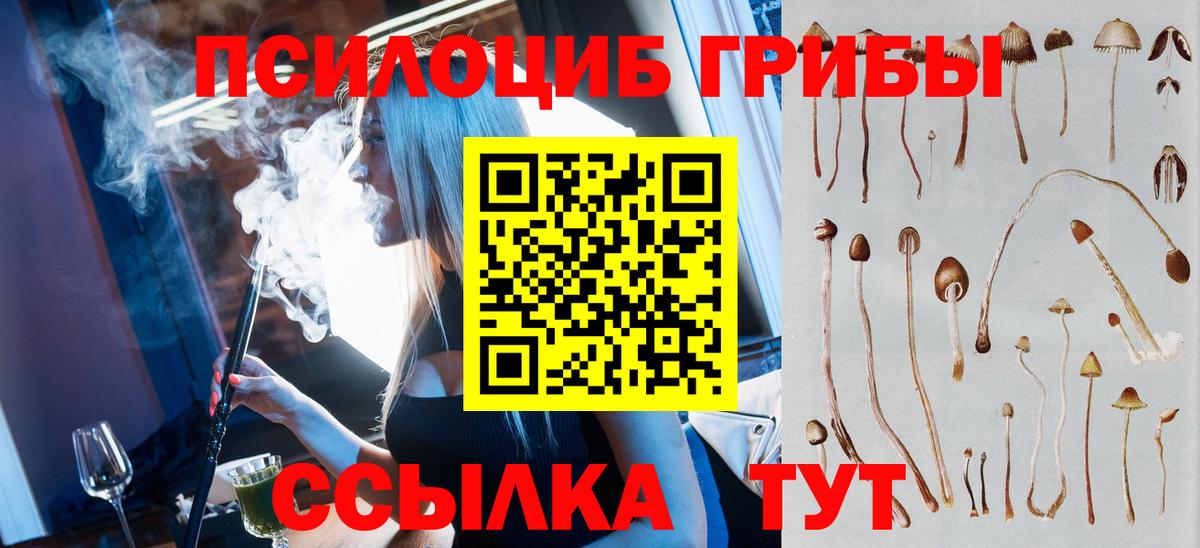 Псилоцибиновые грибы GOLDEN TEACHER Сегежа
