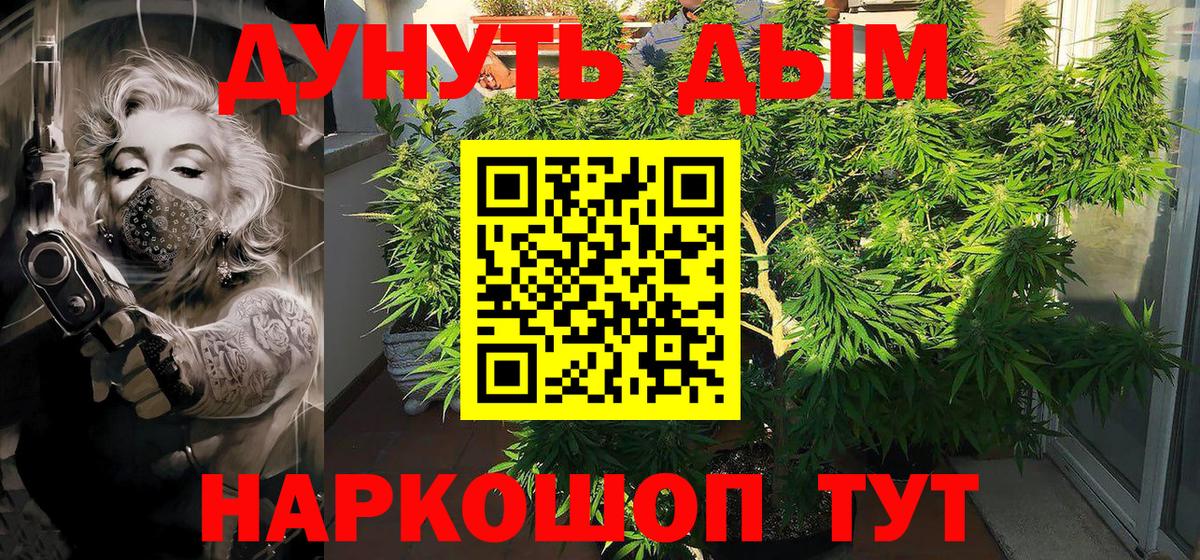 Конопля Amnesia Сегежа
